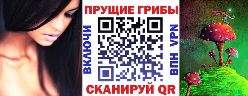 MEGA tor  Иркутск  Галлюциногенные грибы Magic Shrooms  наркота 